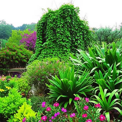 Illustration invasive - Image 1