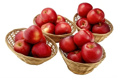 Illustration divided - Image 1