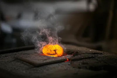 Illustration roasts - Image 1