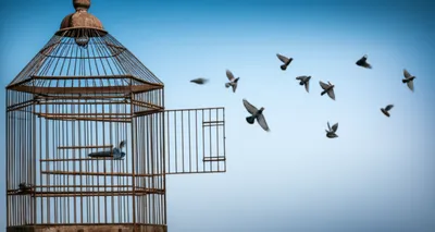 Illustration leasing - Image 1