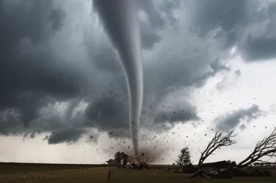 Illustration touchdown - Image 1