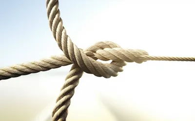 Illustration unravelled - Image 1