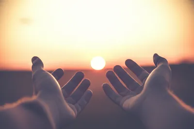 Illustration relinquish - Image 1