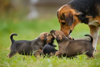 Illustration runt - Image 1