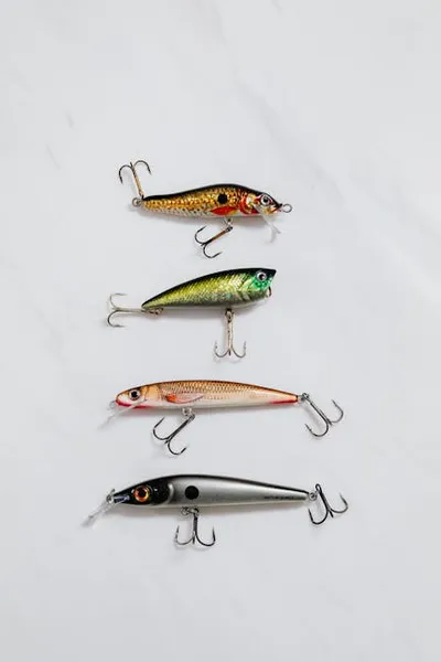 Illustration lures - Image 2