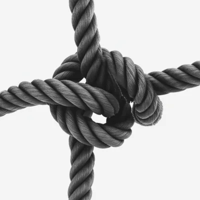 Illustration twines - Image 1