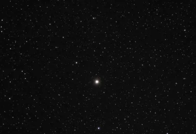 Illustration moth - Image 1