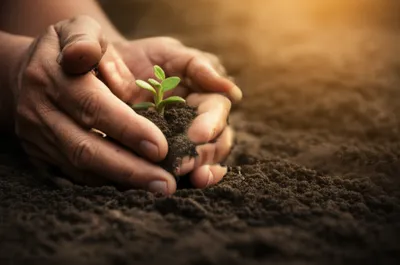 Illustration invests - Image 1