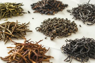 Illustration lf - Image 1