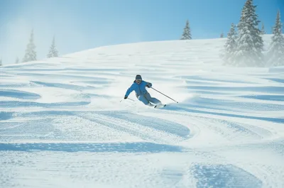 Illustration skiing - Image 1