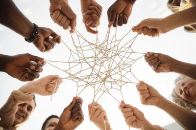 Illustration netted - Image 1