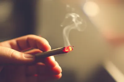 Illustration blazing - Image 1