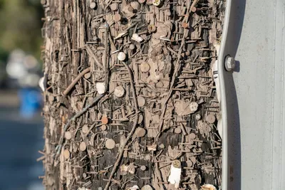 Illustration staples - Image 2