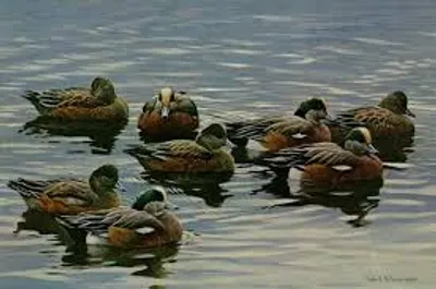 Illustration company - Image 2