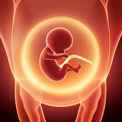 Illustration implantations