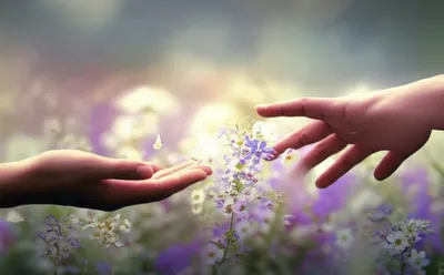 Illustration overtures - Image 1