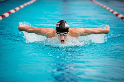 Illustration fly - Image 1