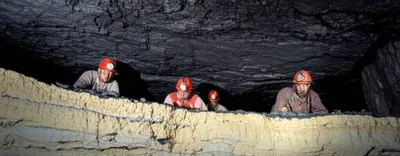 Illustration warrant - Image 1