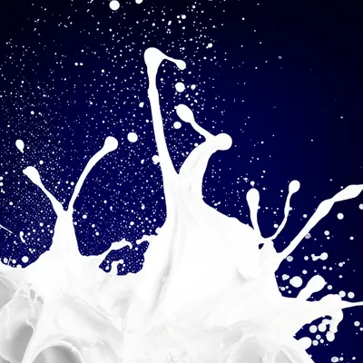 Illustration wads - Image 1