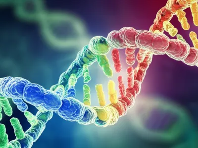 Illustration complements - Image 1