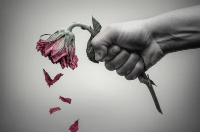 Illustration contraction - Image 1