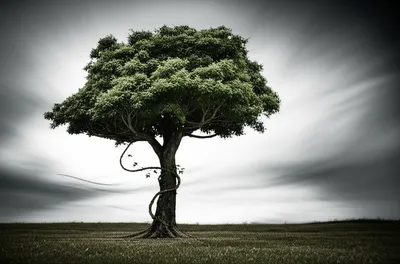 Illustration trust - Image 1