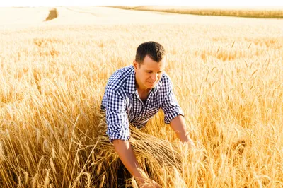 Illustration brooked - Image 1