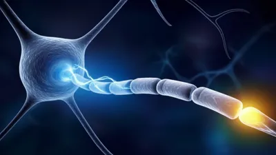 Illustration firing - Image 1