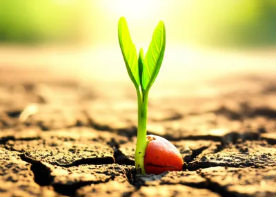 Illustration quickens - Image 1