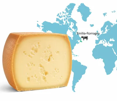 Illustration parmesan - Image 1