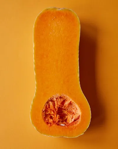 Illustration butternut - Image 2