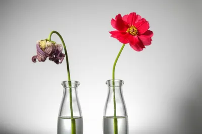 Illustration dissatisfaction