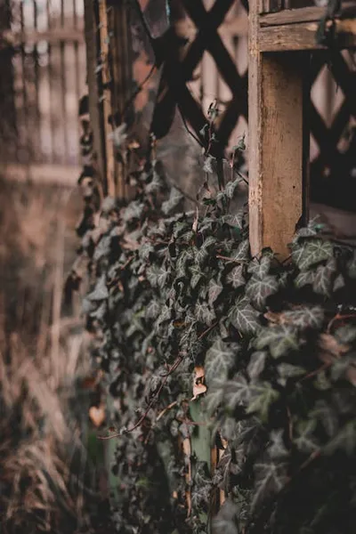 Illustration entwining - Image 2