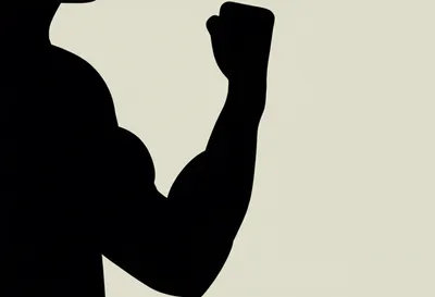 Illustration muscular - Image 1