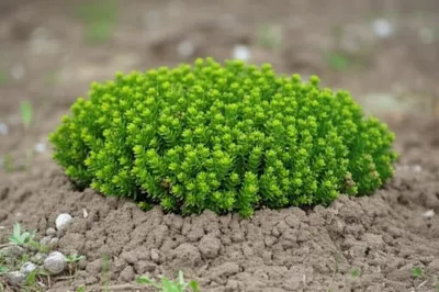 Illustration hills - Image 1