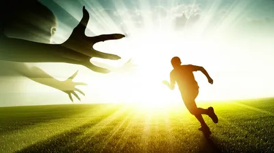 Illustration shuns - Image 1