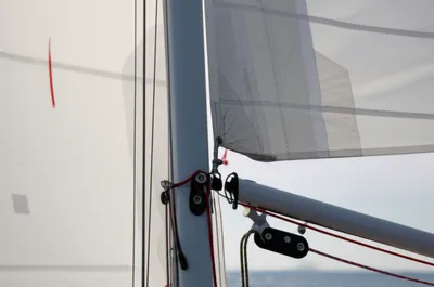 Illustration gooseneck - Image 1