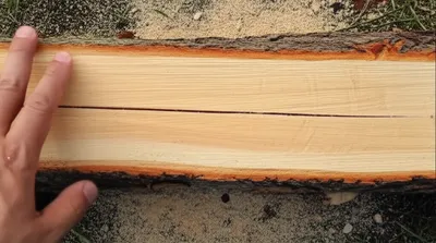 Illustration saws - Image 1