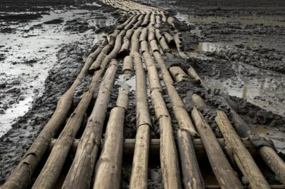 Illustration corduroyed