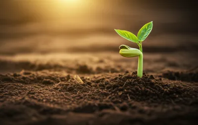 Illustration initialization - Image 1