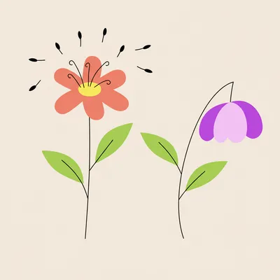 Illustration sterilizations - Image 1