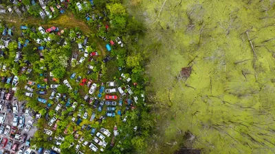 Illustration woeful - Image 2