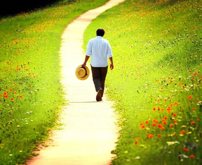 Illustration rambled - Image 1