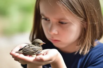 Illustration pity - Image 1