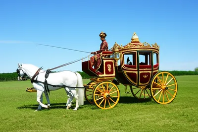 Illustration chariot - Image 1