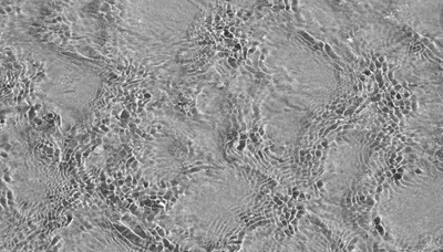 Illustration shallower - Image 2