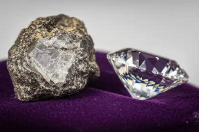 Illustration rougher - Image 1