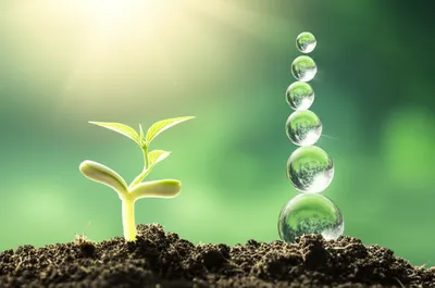 Illustration making - Image 1