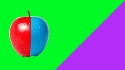 Illustration bicolor - Image 1