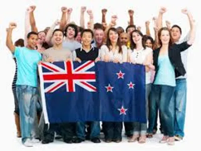 Illustration kiwi - Image 2